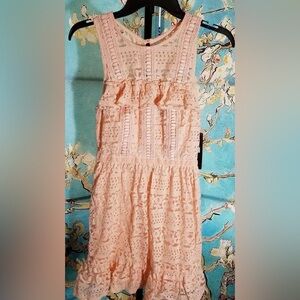 Charming Pink Lace Disney Princess Eyelet Lace Ruffle Dress, Size XL